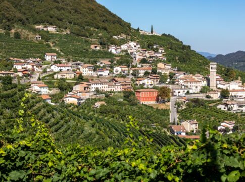 Venetien, bekannt für Prosecco, bietet spritzige Weine und zeichnet sich durch Weinvielfalt und Tradition aus. (Bild: wjarek/Adobe Stock)