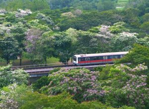 U-Bahn und Zug Verbindungen in Singapore - Bild (c) Jason Goh auf Pixabay