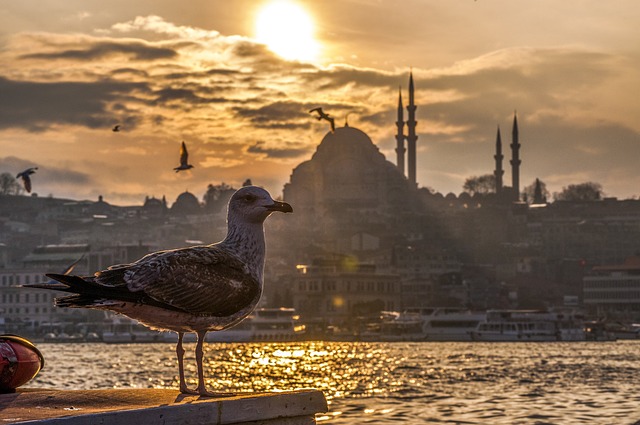 Die geheimen Fotospots in Istanbul auf planative.net - Bild von mucahityildiz auf pixabay.com