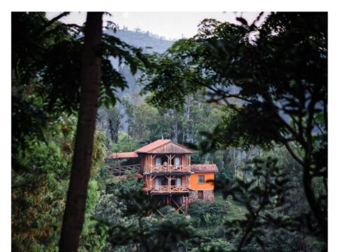 Entdecke die Schönheiten von Ruanda abseits des Gorilla Trekking - (c) Bild @libredonn