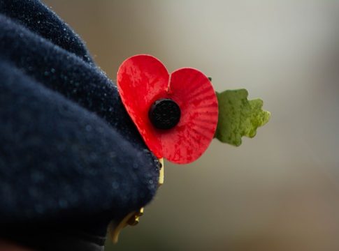 Mohnblume oder Poppy flower als Zeichen in Gedenken an gefallene Soldaten