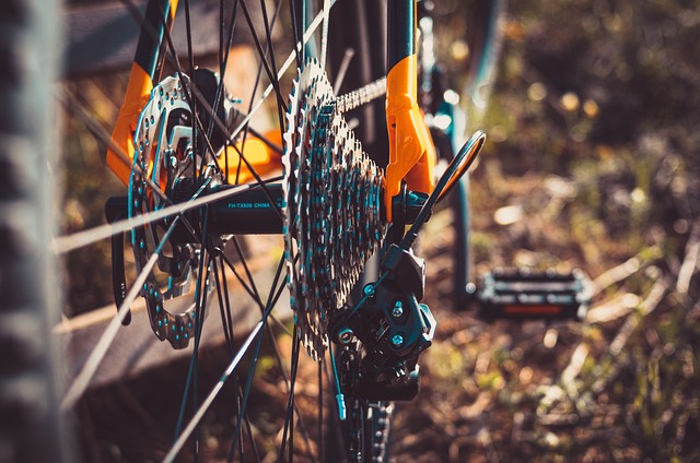 Der Markt für Reisen mit dem eigenen Fahrrad ist dermaßen groß, sodass es bereits die Kategorie "Reiseräder" im Handel gibt. Foto Pixabay © farbsynthese