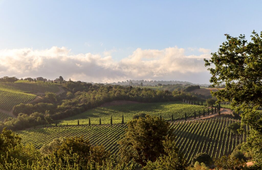 Die Weinregion Marche, eingebettet zwischen Apenninen und Adria, Bild : ah_fotobox/Adobe Stock
