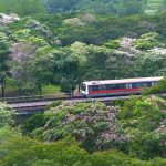 Singapore U-Bahn Plan mit Sehenswürdigkeiten