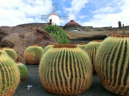 Lanzarote Guide und Landkarten auf planative.net - Bild: (C)neufal54 auf pixabay.com