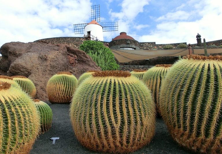 Lanzarote Guide und Landkarten auf planative.net - Bild: (C)neufal54 auf pixabay.com